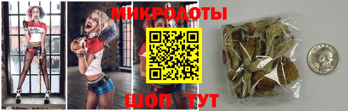 Псилоцибиновые грибы GOLDEN TEACHER  Псилоцибиновые грибы Magic Shrooms  Вход с VPN  Сочи 